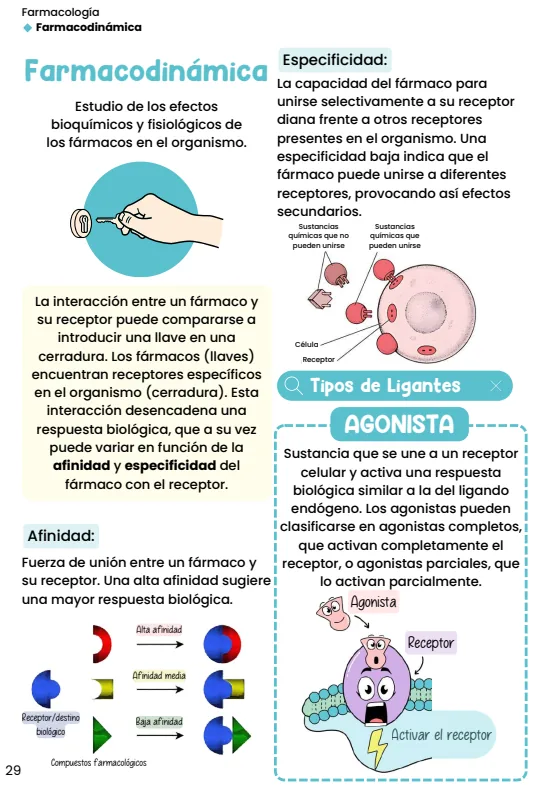 IMAGEN: muestra 3 de 5 — lámina real del material: formas farmacéuticas, sólidas, líquidas y semisólidas